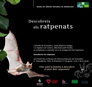 Descobreix els ratpenats