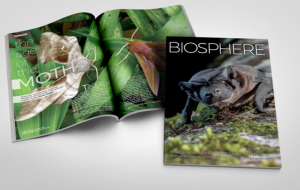 Biosphere_Cover