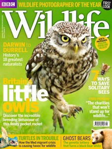 BBCWildlife