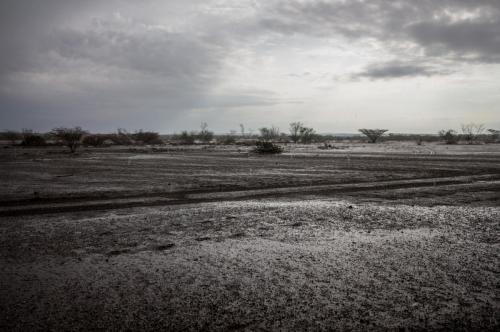 Rain in the desert