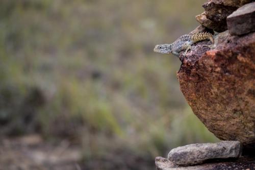 Isalo National Park