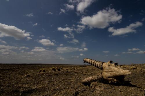 Turkana desert