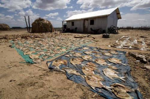 Fisheries Turkana